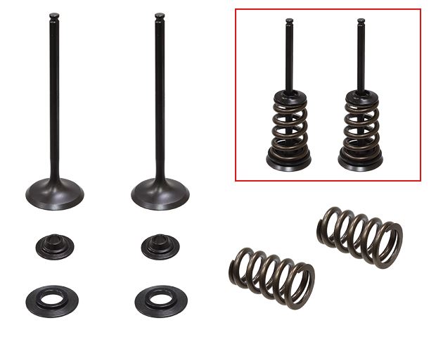 Psychic Valvetrain — KTM EXCF250, KTM SXF250