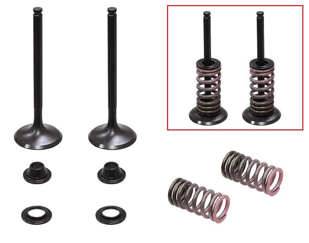 Psychic Valvetrain — Yamaha WRF450, Yamaha YZF450, Yamaha YZFX450