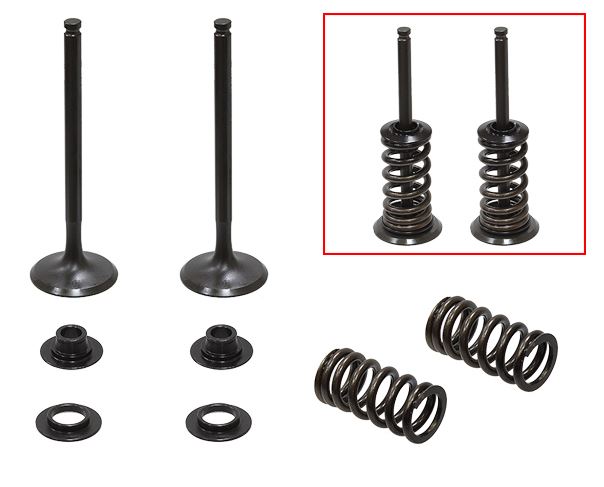 Psychic Valvetrain — GasGas EXF300, GasGas EXF350, Husaberg FE350 +3 more