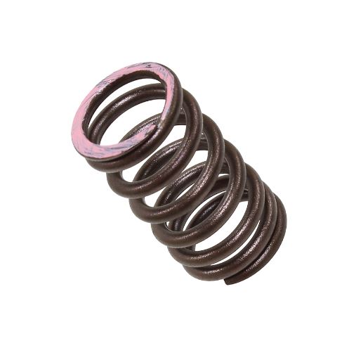 Psychic Valvetrain — Honda CRF250 R, Honda CRF250 RX