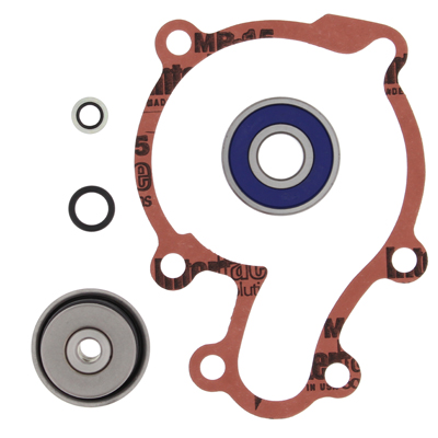 ProX Water Pumps — Polaris P500