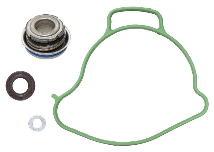 Psychic Water Pumps — Bombardier BB1000, Can-Am 1000