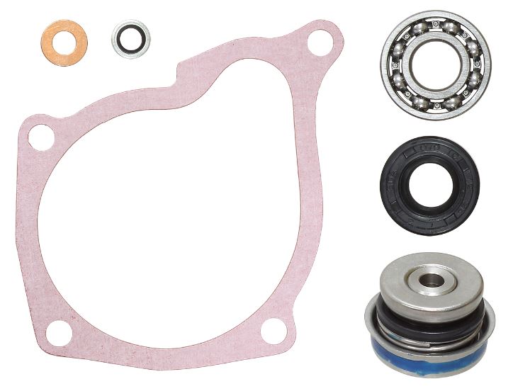 Psychic Water Pumps — Polaris P400, Polaris P425, Polaris P450 +1 more