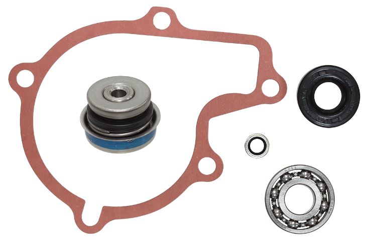 Psychic Water Pumps — Polaris P550, Polaris P600