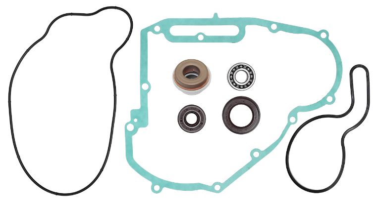 Psychic Water Pumps — Polaris P700, Polaris P800
