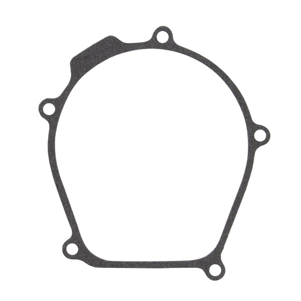 Vertex/Winderosa Gaskets — Kawasaki KX250