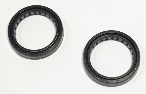Athena Forks — Aprilia 450, Aprilia 550, BMW F800 +36 more
