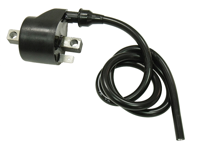 Bronco Ignition & Engine Management — Polaris P500