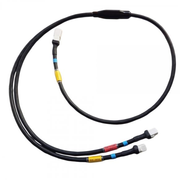 Athena Ignition & Engine Management — Universal UNIVERSAL
