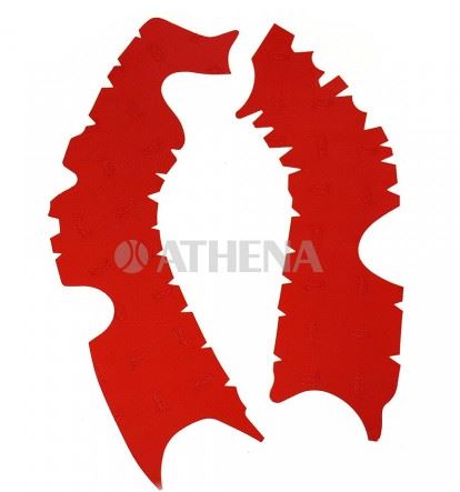 Athena Guards & Protection — Honda CRF250 R, Honda CRF450 R